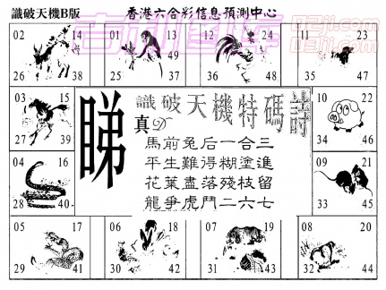 [c262]识破天机B版