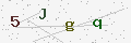 验证码